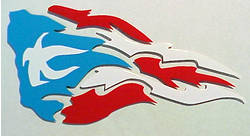 Puerto Rican Flag Special Design